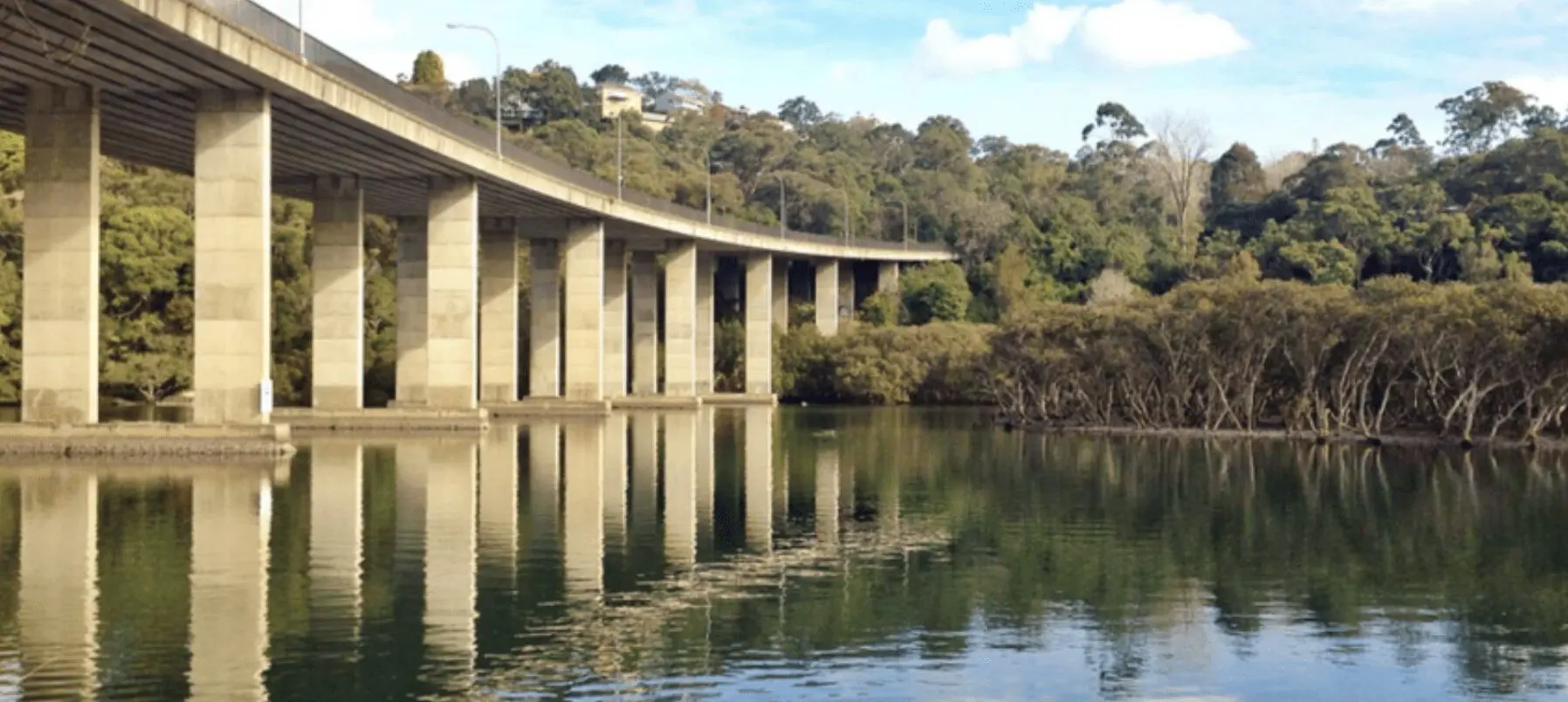 Still waters at Davidson Park with the Roseville Bridge overhead – a peaceful local escape cherished by Davidson property buyers.